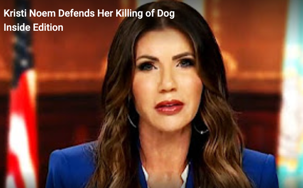 Don’t believe me when I say Republicans are lying about abortion. Believe the Puppy Murder lady.